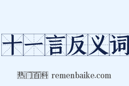 十一言反义词是什么意思的图片